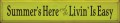 Shown in Old Lemon-Lime with Black lettering