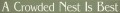 Shown in Old Sage with Cream lettering