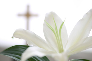 Easter Signs