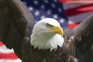 Patriotic Signs