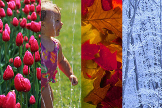 Seasonal & Holiday Signs